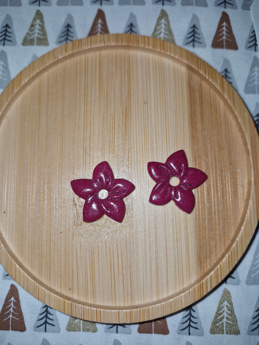 Pampilles framboise