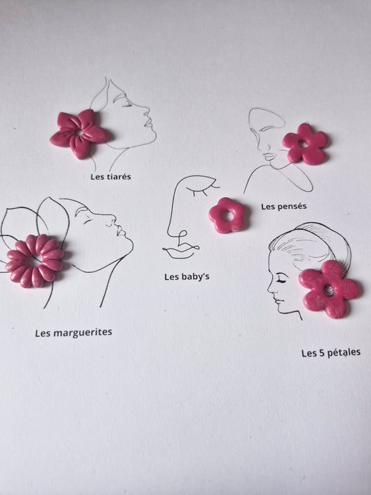 Les classiques " Framboise "