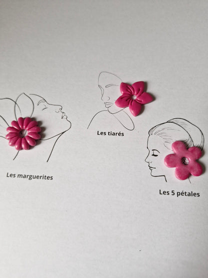 Les classiques " Framboise "